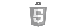 JavaScript JavaScript